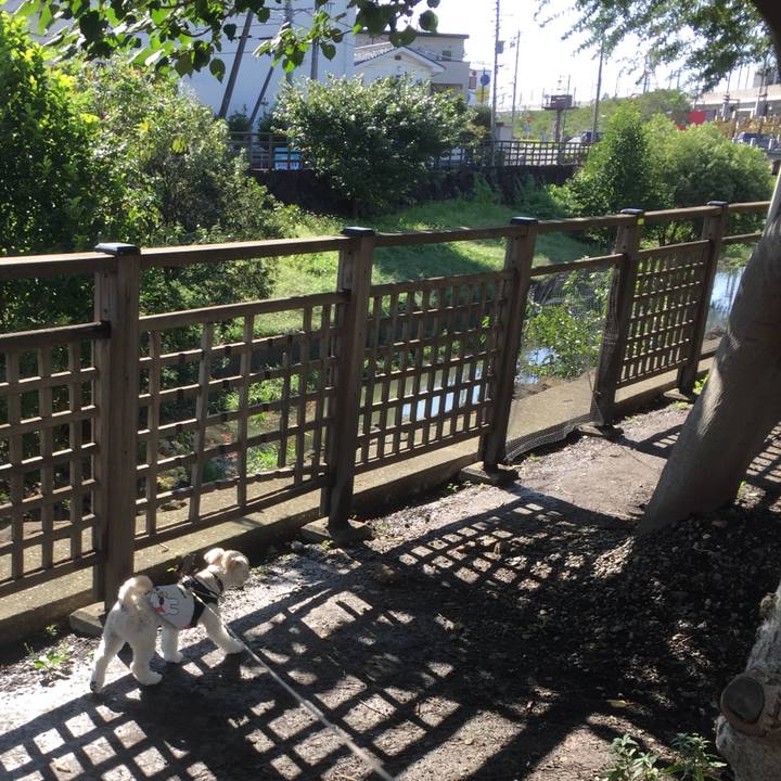 3986e0f1 2a84 4d3d 8b39 ddf016ff812b