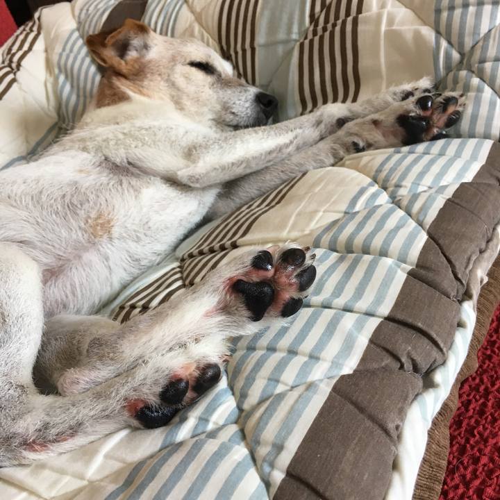 398719d9 c077 41f5 80b1 a2762fc58925