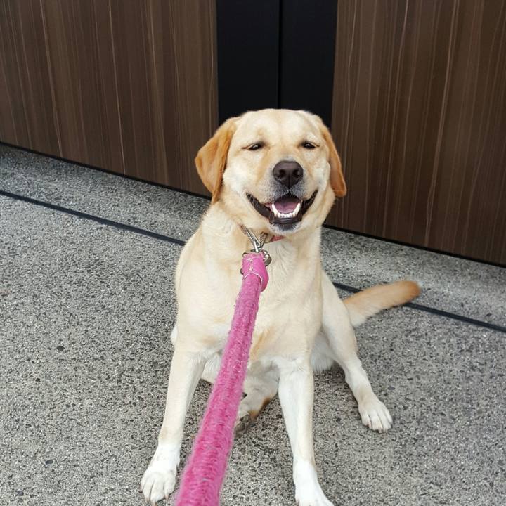 39876329 692d 47bb a7a6 870ada9a9aec