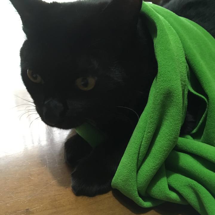 3987ac86 221b 42e4 b6c5 b508c93a6ebe