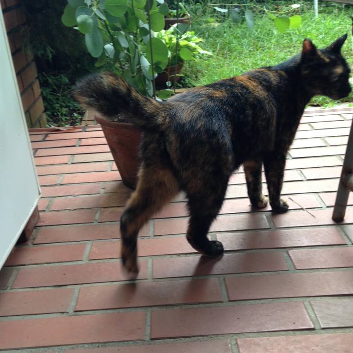 398813b1 8fe0 43dc 816c bbc82682b6f9