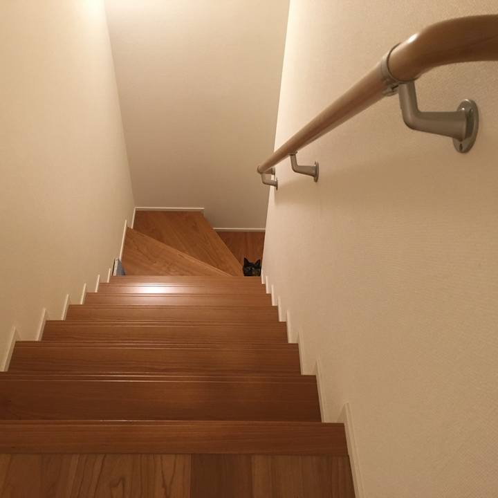 39883e79 4994 4c8f 8dfb 4965bf20bbe8