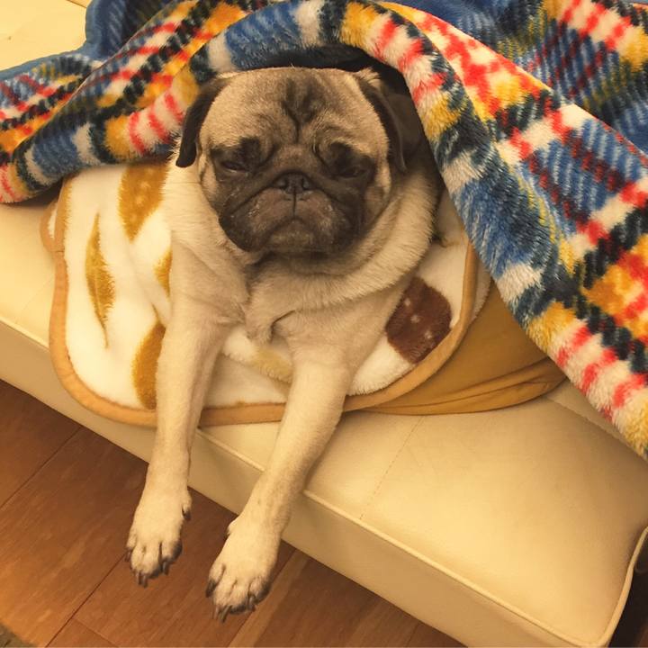 39885c19 3c56 47bb b62a e34fcaddc2af