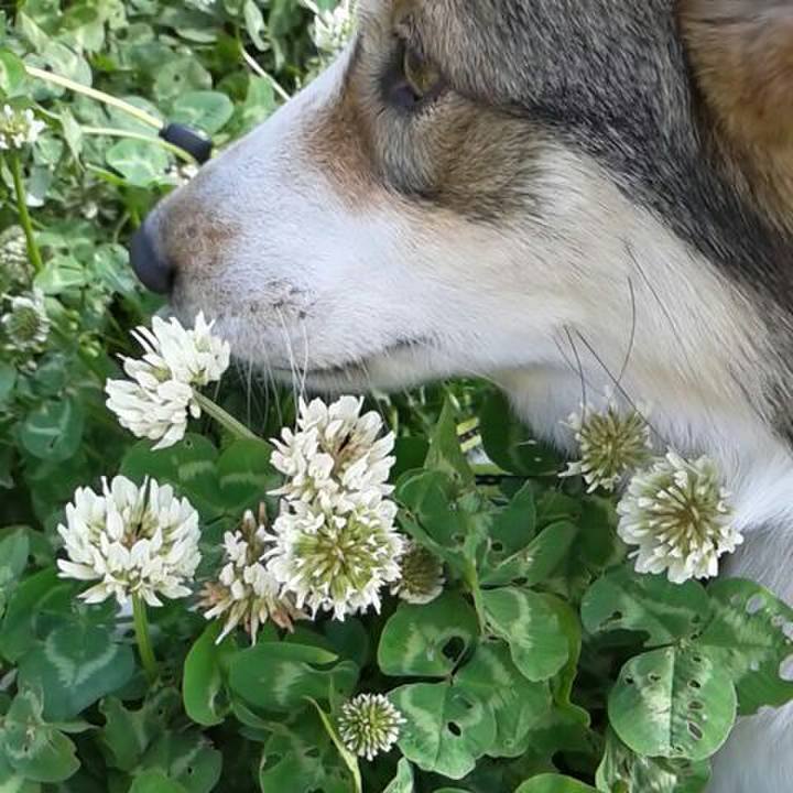 3988c0aa e946 4e19 a388 8eeffd2a61c3