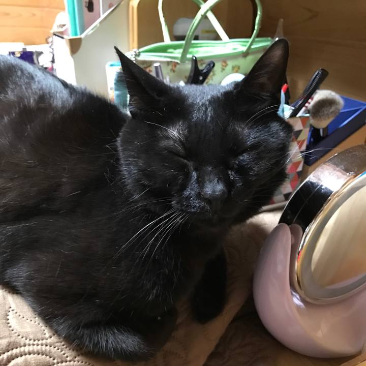 3988d6ca beb8 4474 a180 206cec61d77e