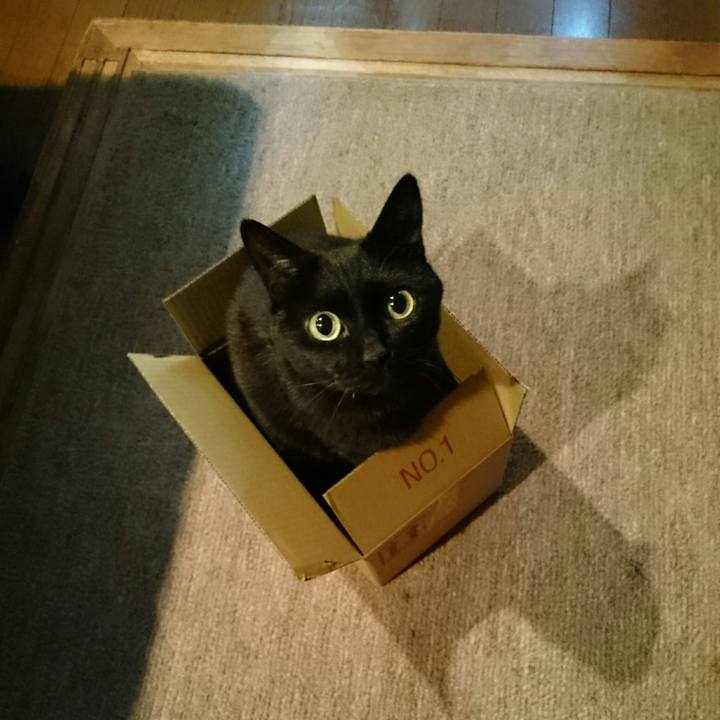 3988df24 f400 4aff 88c7 fe177140e273