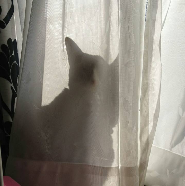 398a1b30 1db4 4a07 8c55 089fc4277571