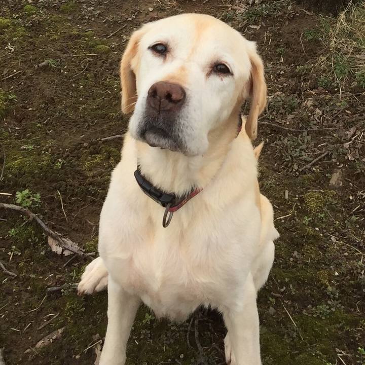 398a6a7c 8f9a 4dd4 9f17 2e98f2d98631