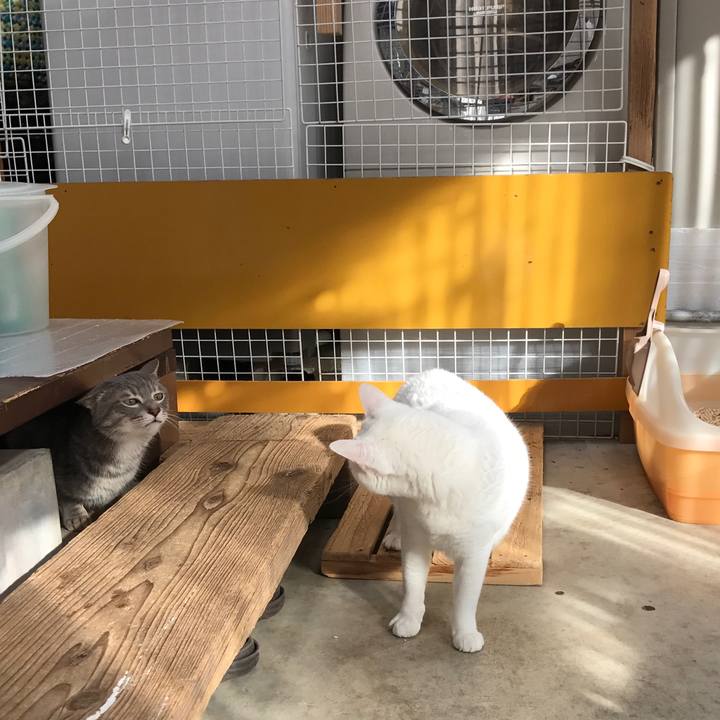 398b8d32 00f7 40b7 86e0 165eb83db9ca