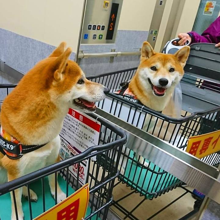 398bc0f6 f526 49ef 86f9 5e5969f226fe