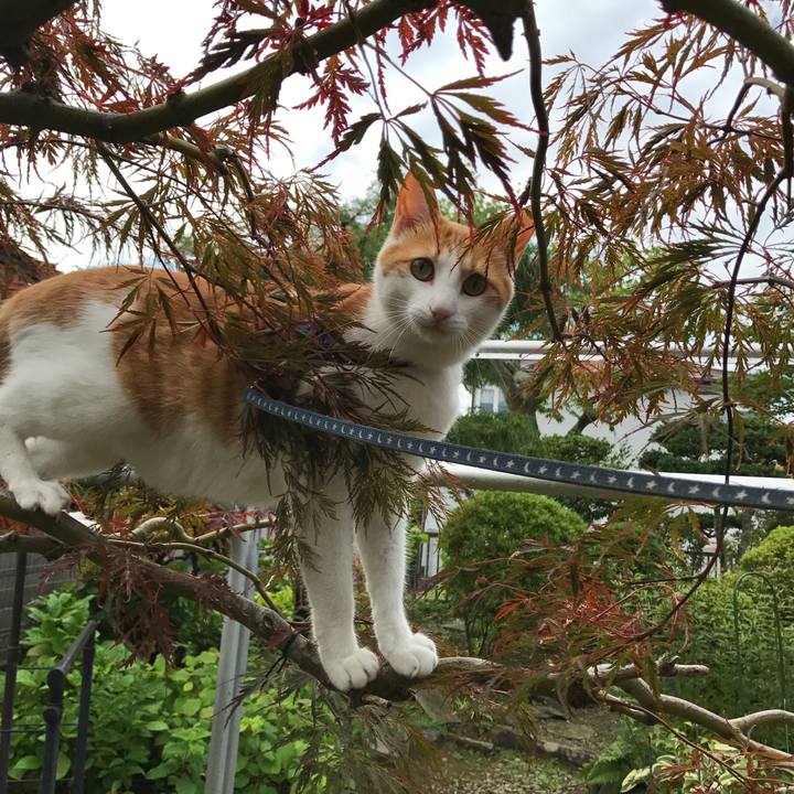 398c6f23 51f1 49d3 9d76 02f582b248aa