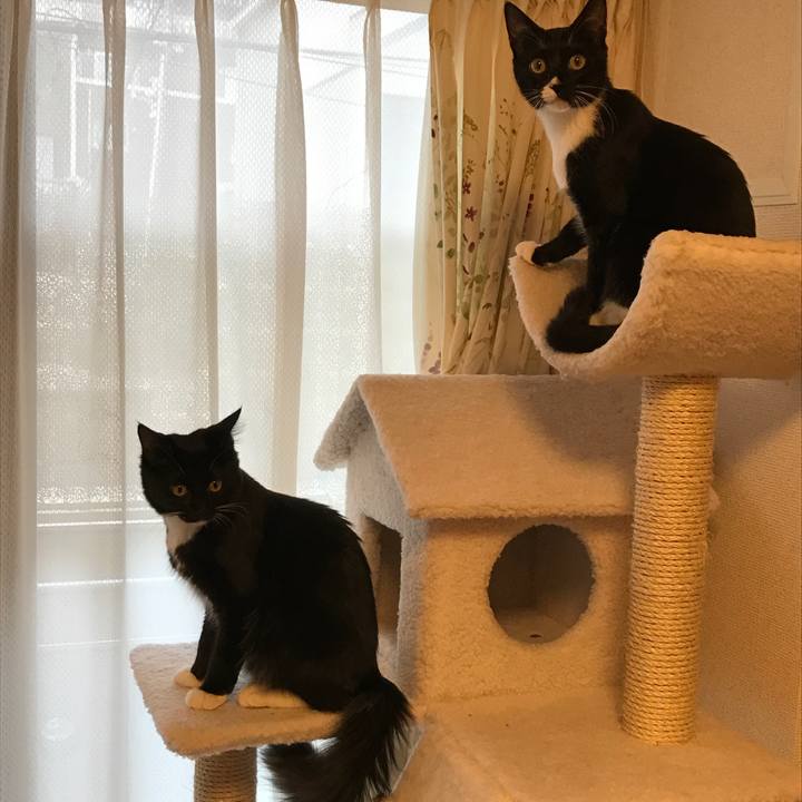 398d688f 6a97 492f a55d 1fd250b17d79