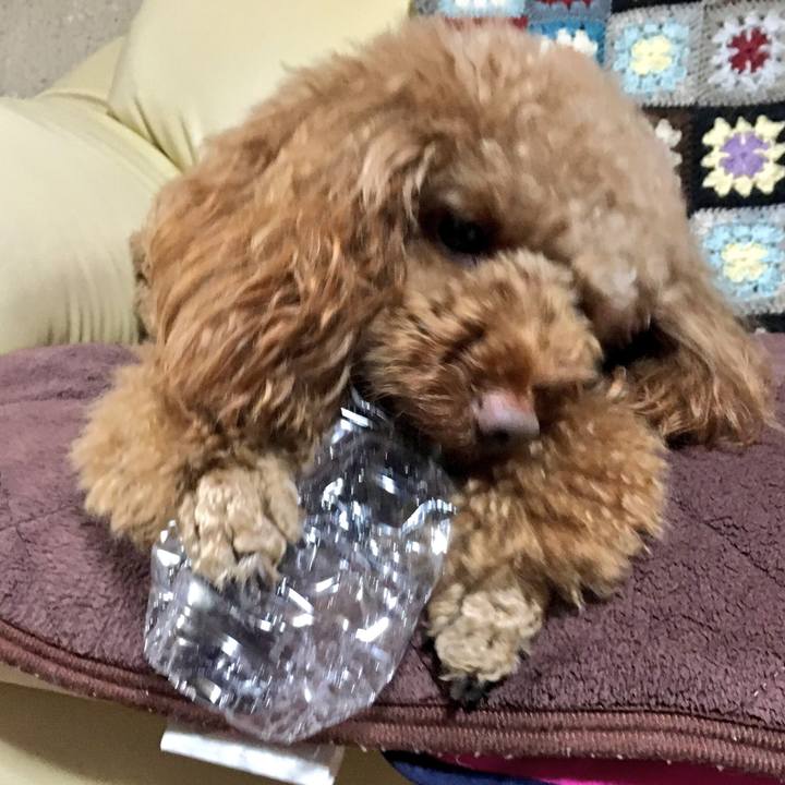 398d9112 9e6d 4774 8a1a 3b4f5a92de65