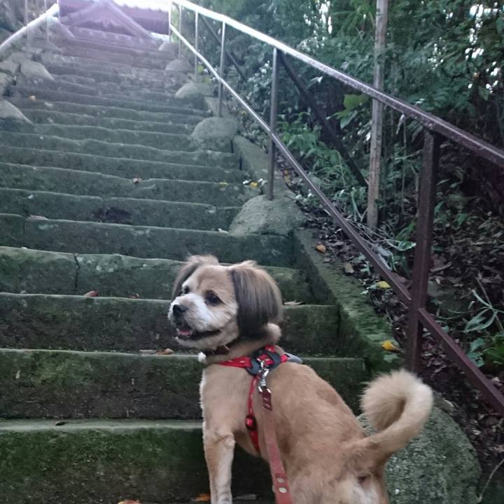 398dae51 be00 426c adf2 ba1579e44de9