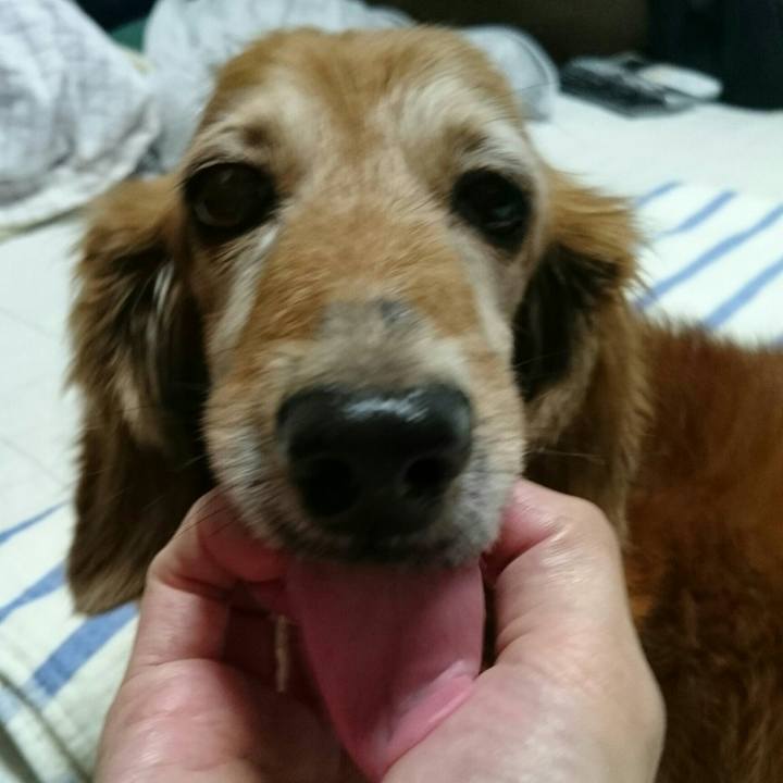 398dfb42 f61e 4479 a7c2 fa9402a6a6b1