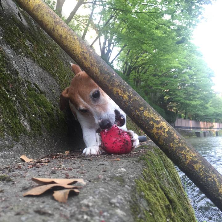 398e74cd ae52 4875 ae82 15ecf14b841d