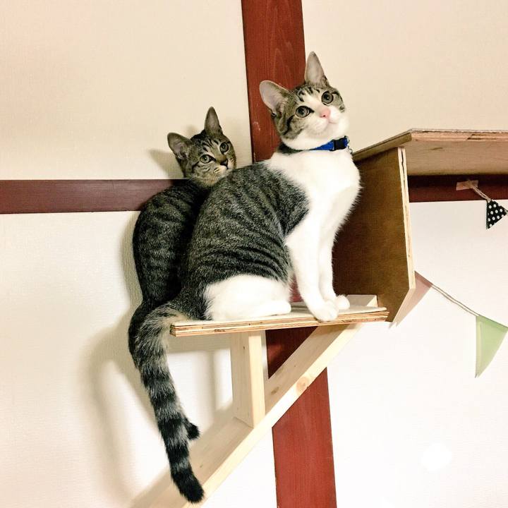 398eabdd 0348 4092 9e3c 26e2aee1e90e