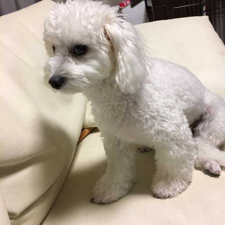 398f2b79 2d9e 47ef 816d 0d919e485a47