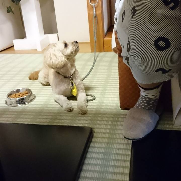 398fab11 d924 40f9 af6b 75bcf29c2676