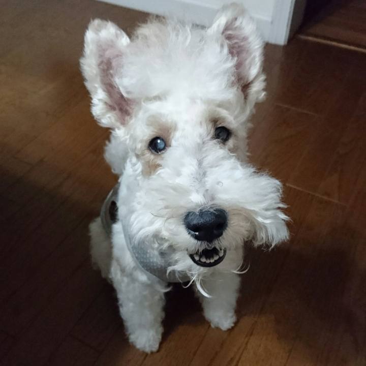 398fdc51 6f8e 45bc 988d 1655232984b0