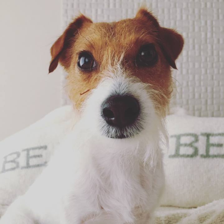 39915b10 cea0 49e1 9204 aae67d4068c5