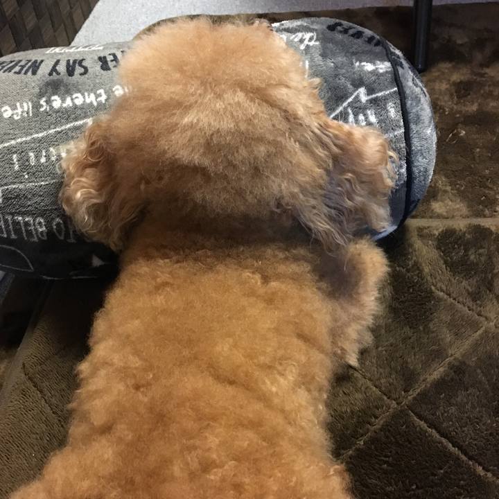 399256ba 3494 4dba bcaa 06cb5edd6faa