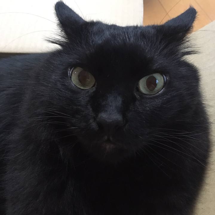 3993934f c1c1 425c 8529 86ab12a839c5