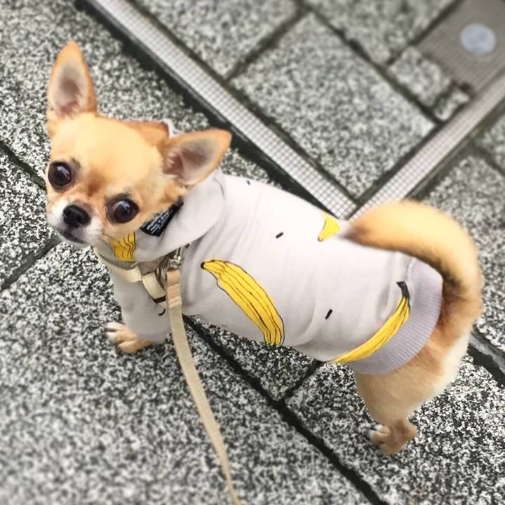 399542b7 ff16 4b49 bfb3 624a5b84fbb8