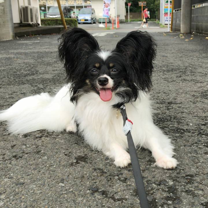 399576e2 efbc 4824 8770 4a58a9dbb05e