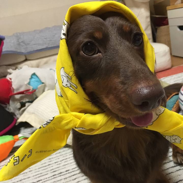 3995926d a541 4221 911b f8b9d1f61aa8