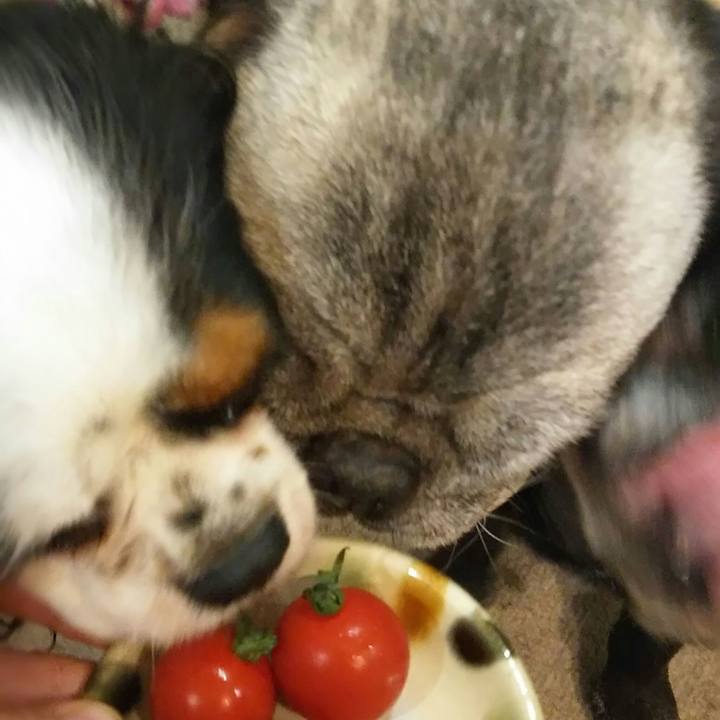 3995927c 8408 45d4 bc9e c17c09604d8b