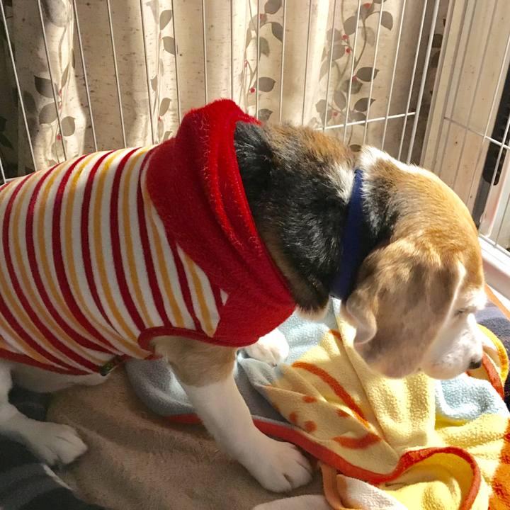 39965b8f b4b2 4dc7 9260 552457f5f02c