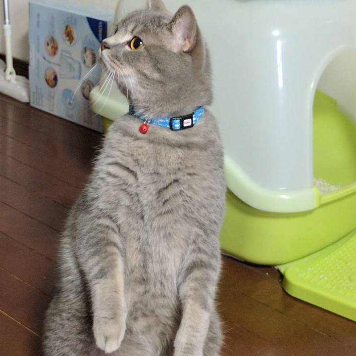 39979219 5dd4 4c40 bdc0 1849fd9c1729