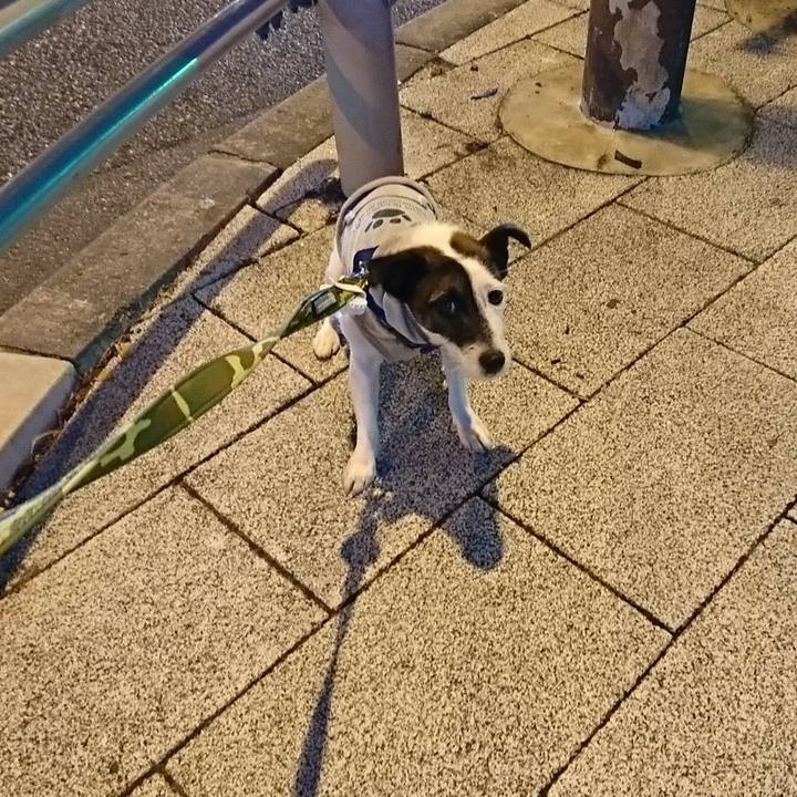 399792fd 7cce 41f2 ab81 8a538190ab09