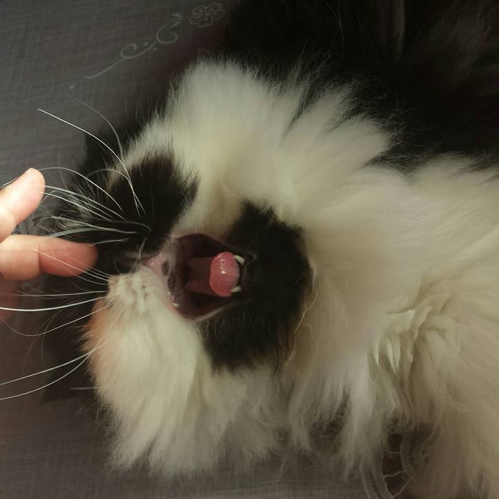 39982527 0488 4461 92a4 920562683dca