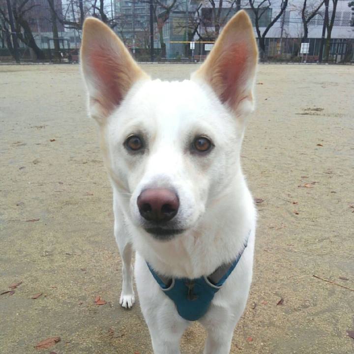 39987e91 9ef0 4b73 ba03 ee66cf17b984