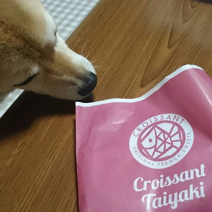 399884e5 7edb 4684 b5b5 45f325666256