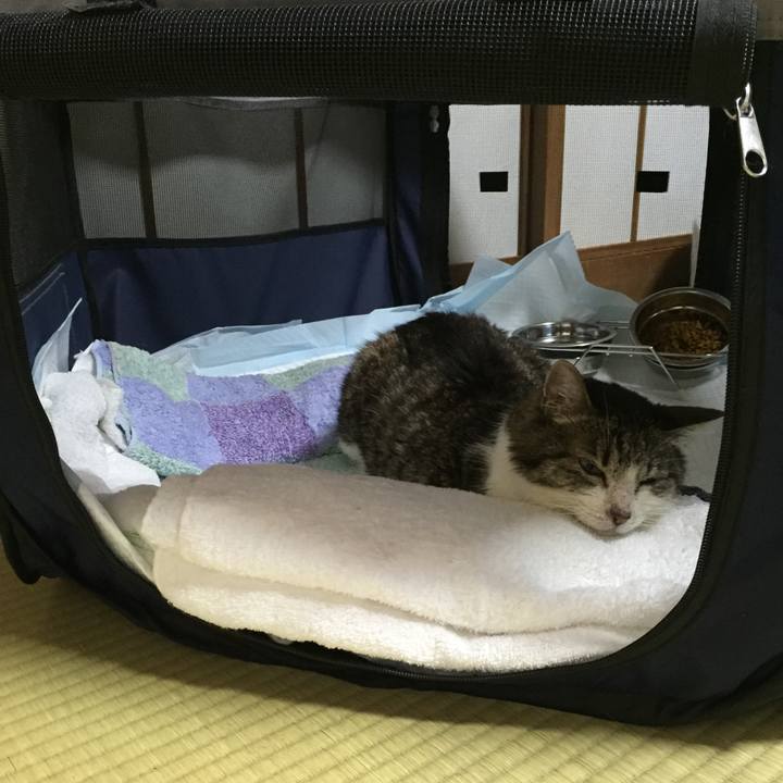 3998b0fc c548 4eac a4ed fffd2279440f