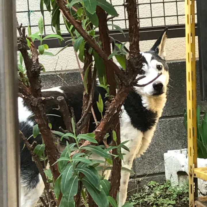 3998c116 dfdf 4f3a 9cd3 101ce5cadc56