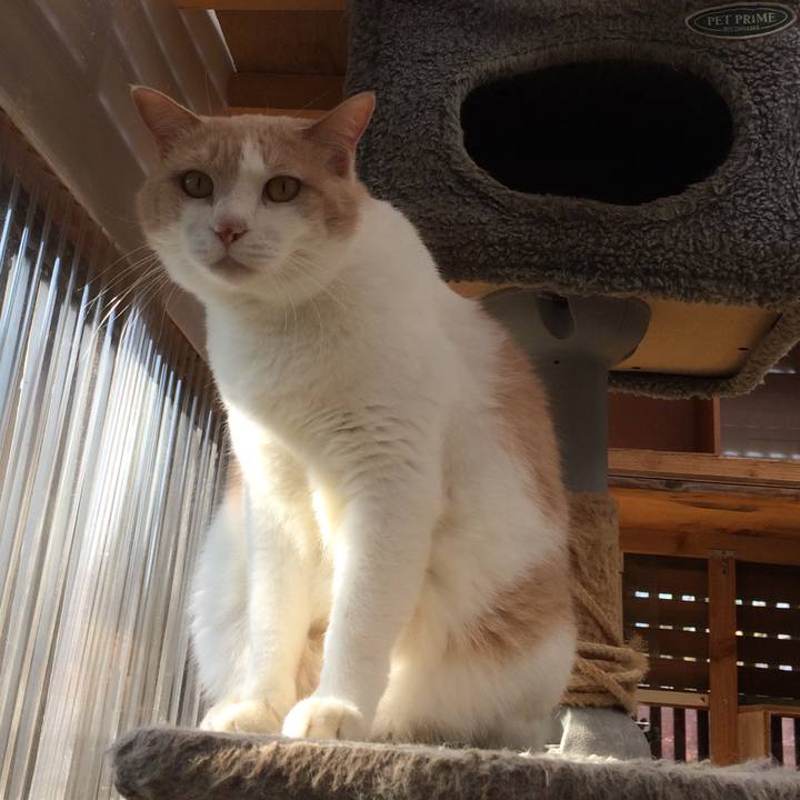 3998dd78 dcc5 4e6f 9fc9 c65a1e28a83d