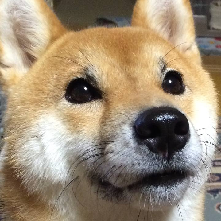 3999a30e 6192 41cb 8cc1 bc636a6322df