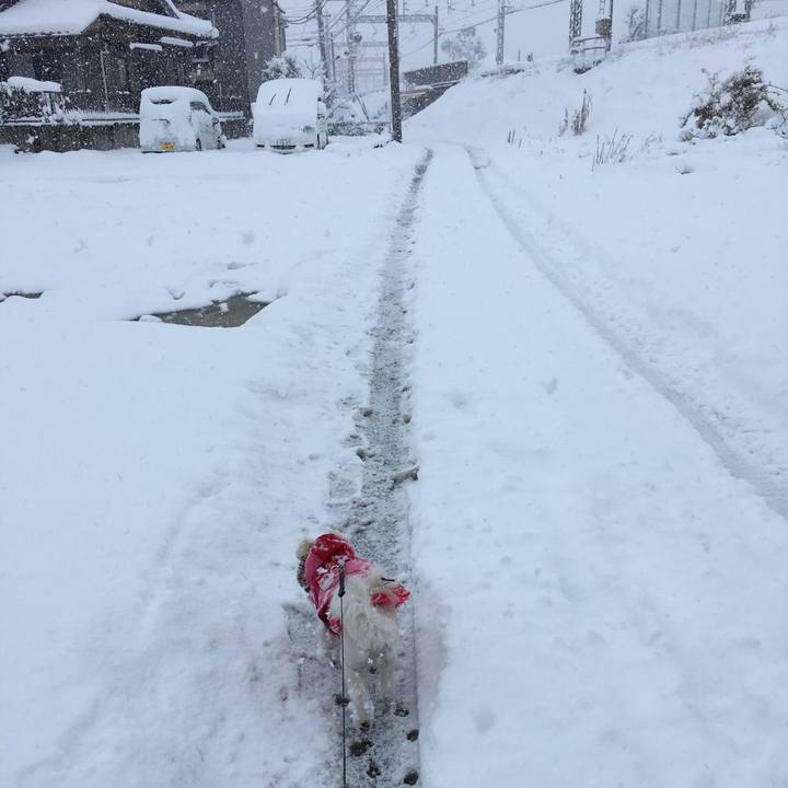 399aec20 d8a5 4fc6 a248 269329153e00