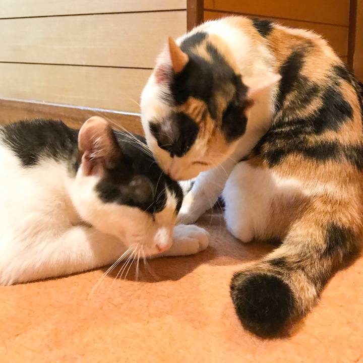 399aed24 9714 49ee 880b f24aeddfbd51