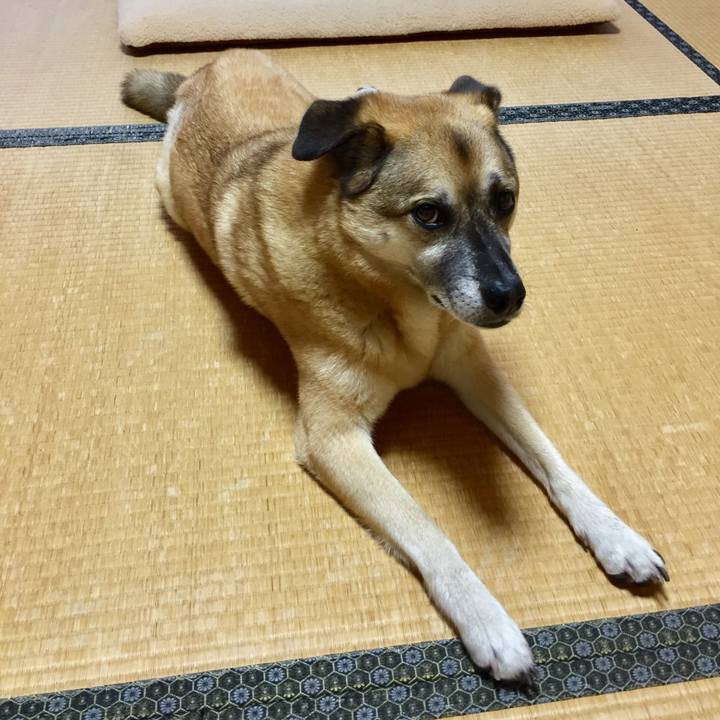 399bd885 1cad 49c7 accc db7a5a6d96e7