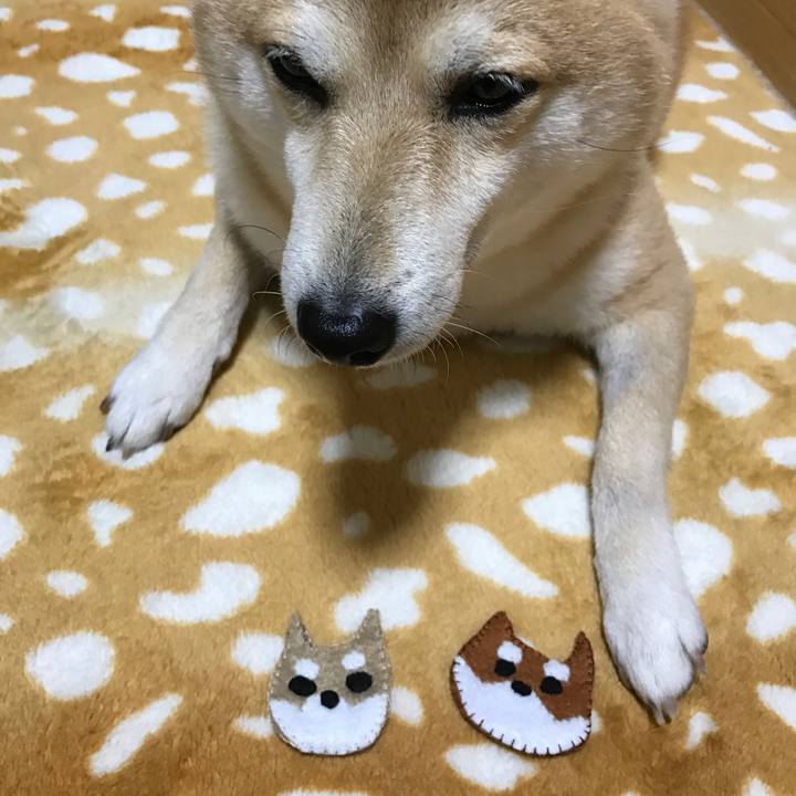 399c2c33 caf0 4cd6 931a 5e184354fac1