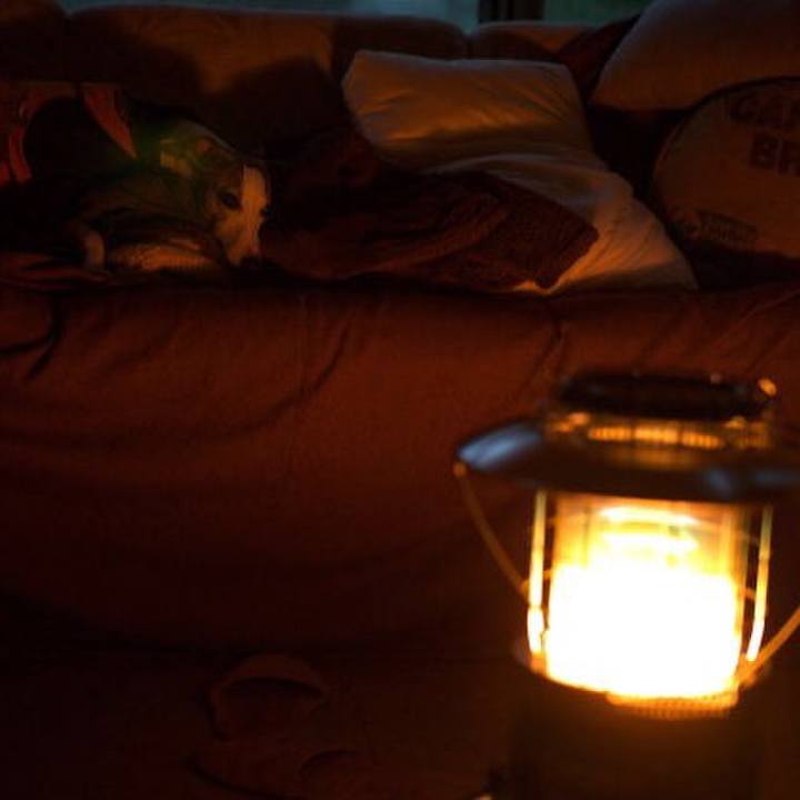 399c33b0 4adf 4a5f 9c63 b95b6d357978