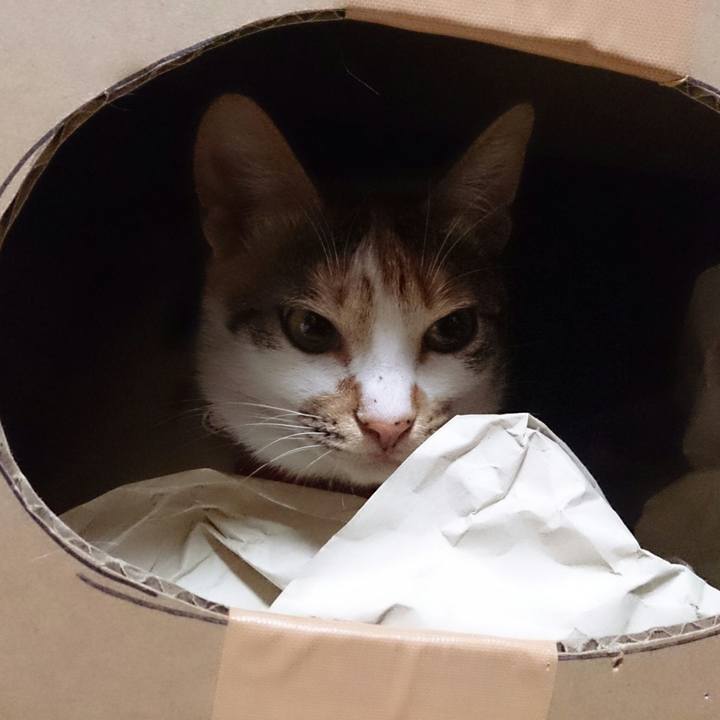 399cbbd3 81e3 4ab1 9d61 06264873f9cd