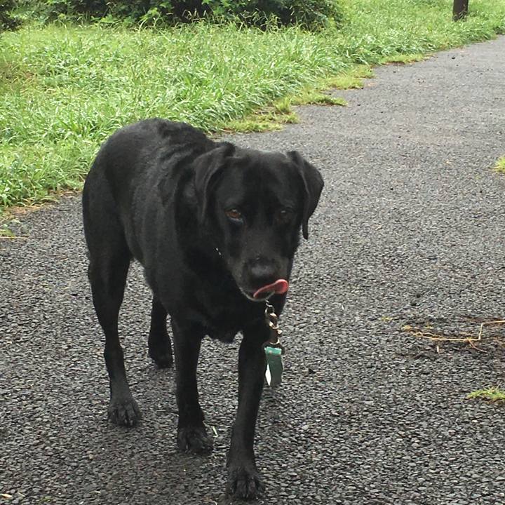 399cfefd 2694 4208 b94a a5a564cb8a14