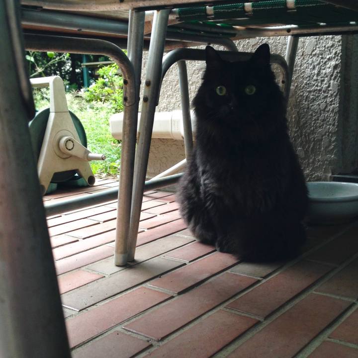 399d2475 f90c 4afc 8ee9 f23846622cf7