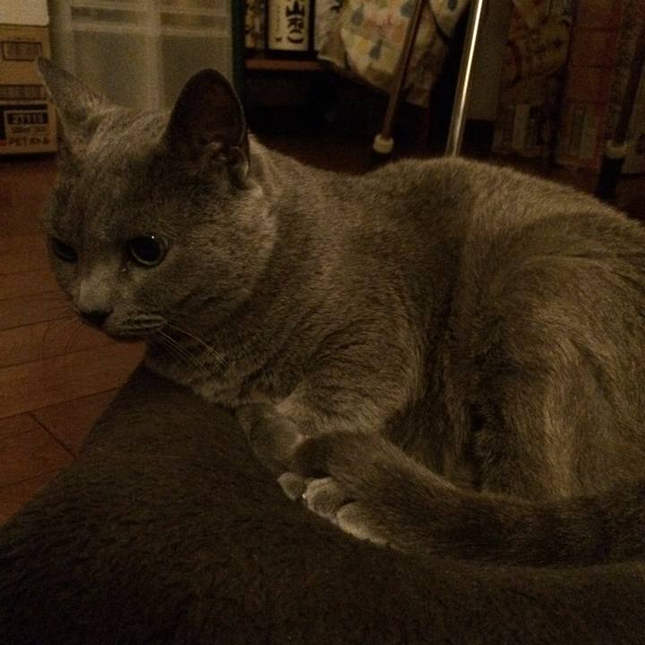 399d56b8 9c62 4cd2 9dd5 f487fa88c5bf